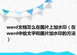 word文档怎么在图片上加水印（在word中给文字和图片加水印的方法）
