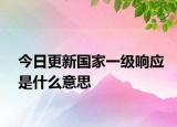 今日更新国家一级响应是什么意思