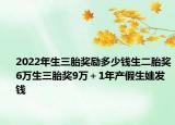 2022年生三胎奖励多少钱生二胎奖6万生三胎奖9万＋1年产假生娃发钱