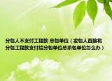 分包人不支付工程款 总包单位（发包人直接将分包工程款支付给分包单位总承包单位怎么办）