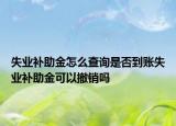 失业补助金怎么查询是否到账失业补助金可以撤销吗