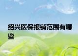 绍兴医保报销范围有哪些