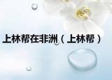 上林帮在非洲（上林帮）
