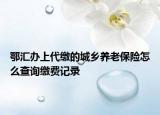 鄂汇办上代缴的城乡养老保险怎么查询缴费记录