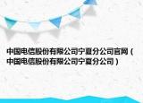 中国电信股份有限公司宁夏分公司官网（中国电信股份有限公司宁夏分公司）