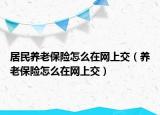 居民养老保险怎么在网上交（养老保险怎么在网上交）