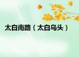 太白南路（太白乌头）