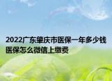 2022广东肇庆市医保一年多少钱医保怎么微信上缴费