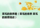 蓑毛的意思是（蓑毛的意思 蓑毛的意思简述）