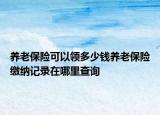 养老保险可以领多少钱养老保险缴纳记录在哪里查询