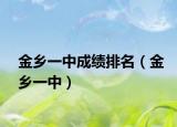 金乡一中成绩排名（金乡一中）
