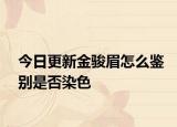 今日更新金骏眉怎么鉴别是否染色