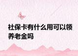 社保卡有什么用可以领养老金吗