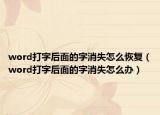 word打字后面的字消失怎么恢复（word打字后面的字消失怎么办）