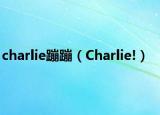 charlie蹦蹦（Charlie!）