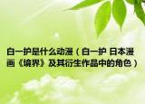 白一护是什么动漫（白一护 日本漫画《境界》及其衍生作品中的角色）