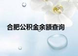 合肥公积金余额查询