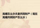 离婚怎么分夫妻共同财产（现在离婚共同财产怎么分）