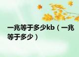 一兆等于多少kb（一兆等于多少）