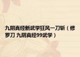 九阴真经新武学狂风一刀斩（修罗刀 九阴真经99武学）