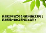 试用期没有签劳动合同被辞退有工资吗（试用期被辞退有工资吗没签合同）