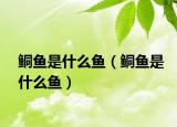 鲖鱼是什么鱼（鲖鱼是什么鱼）