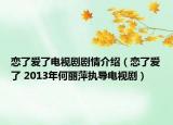 恋了爱了电视剧剧情介绍（恋了爱了 2013年何丽萍执导电视剧）