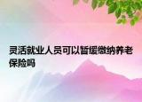 灵活就业人员可以暂缓缴纳养老保险吗