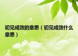 初见成效的意思（初见成效什么意思）
