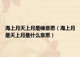 海上月天上月是啥意思（海上月是天上月是什么意思）