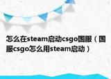 怎么在steam启动csgo国服（国服csgo怎么用steam启动）