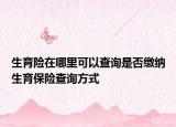 生育险在哪里可以查询是否缴纳生育保险查询方式