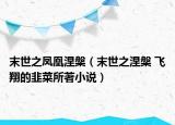 末世之凤凰涅槃（末世之涅槃 飞翔的韭菜所著小说）