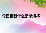 今日更新什么是柴烧杯
