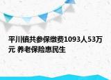 平川镇共参保缴费1093人53万元 养老保险惠民生