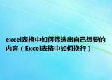 excel表格中如何筛选出自己想要的内容（Excel表格中如何换行）
