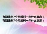 有期徒刑7个月缓刑一年什么概念（有期徒刑7个月缓刑一年什么意思）