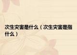 次生灾害是什么（次生灾害是指什么）