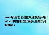 word页码怎么设置从任意页开始（Word中如何设置页码从任意页开始算起）