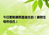 今日更新康熙是谁生的（康熙生母佟佳氏）