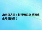 永寿县古墓（长孙无忌墓 陕西省永寿县的墓）