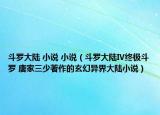 斗罗大陆 小说 小说（斗罗大陆Ⅳ终极斗罗 唐家三少著作的玄幻异界大陆小说）