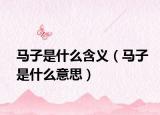 马子是什么含义（马子是什么意思）