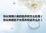 协议离婚小孩的抚养权怎么处理（协议离婚后子女抚养权该怎么办）