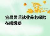 宜昌灵活就业养老保险在哪缴费