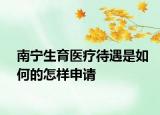 南宁生育医疗待遇是如何的怎样申请