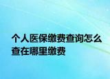 个人医保缴费查询怎么查在哪里缴费