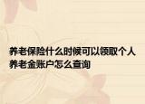 养老保险什么时候可以领取个人养老金账户怎么查询