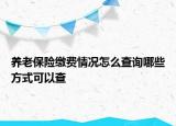 养老保险缴费情况怎么查询哪些方式可以查