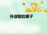 孙淑敏的妻子